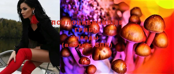 ГАЛЛЮЦИНОГЕННЫЕ ГРИБЫ Арсеньев