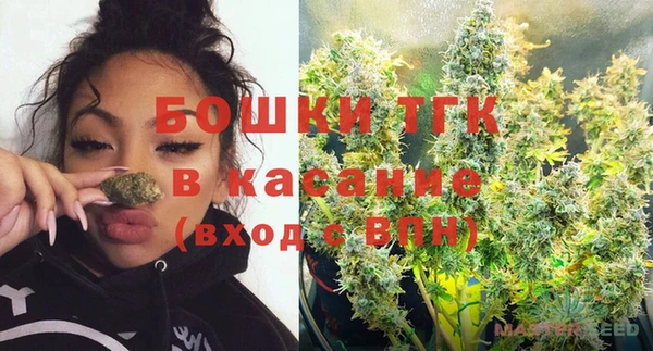 ГАЛЛЮЦИНОГЕННЫЕ ГРИБЫ Арсеньев